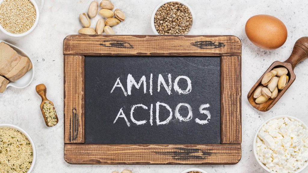 Essential Amino Acids What They Are and Harvard's Trick to Get Them All