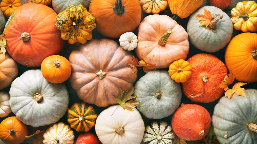 What type of pumpkin goes best with each recipe?